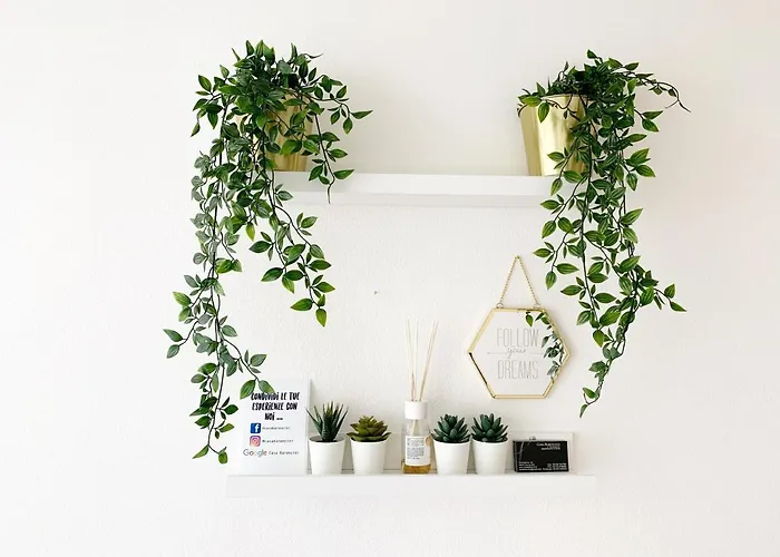 Nuovissimo Piano Terra A Due Passi Dal Mare