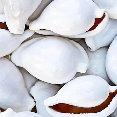 Appartement Nuovissimo Piano Terra A Due Passi Dal Mare